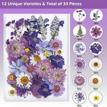 35-43 件天然干压花树脂 DIY 套件，环氧树脂珠宝模具，蜡烛，肥皂制作，美甲装饰，书签。天然真叶材料 - 由季节性真叶制成，经过特殊脱水、压制和干燥以保留原有。自然风格，适合任何 DIY 工艺品。