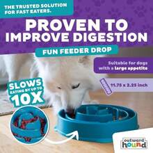 Outward Hound Fun Feeder Slo Bowl, Slow Feeder Dog Bowl, Large/Regular, Turquoise (Pack Of 6) - 顏色 - 查看 4