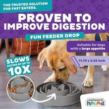Outward Hound Fun Feeder Slo Bowl, Large Slow Feeder Dog Bowl, 4 Cups, Blue - MàuB - Xem 2