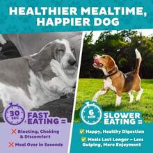 Outward Hound Fun Feeder Slo Bowl, Large Slow Feeder Dog Bowl, 4 Cups, Blue - MàuD - Xem 9