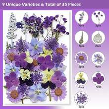35-43 件天然干压花树脂 DIY 套件，环氧树脂珠宝模具，蜡烛，肥皂制作，美甲装饰，书签。天然真叶材料 - 由季节性真叶制成，经过特殊脱水、压制和干燥以保留原有。自然风格，适合任何 DIY 工艺品。