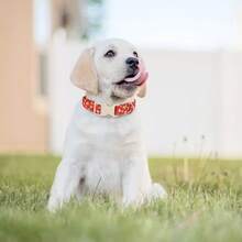 Collar ajustable para mascotas con diseño de Papá Noel, árbol de Navidad y regalo, collar de perro de alta calidad, diseño de dibujos animados a la moda, adecuado para uso en interiores y exteriores con hebilla de plástico beige, regalo para perros pequeños y medianos - Rojo - Ver 3