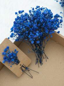 50/100/300pcs Natural Dried Baby's Breath Flowers - Elegant Preserved Baby's Breath, Suitable For Home, Office, Wedding, Christmas, Halloween Party, Handicrafts - , Maintenance-Free, Suitable For Ages 14+ (No Paper Card)