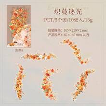 10张/包 水彩花卉主题贴纸，创意美学贴纸，DIY装饰剪贴簿工艺材料，节日礼物，个性化剪贴簿学习用品 剪贴簿用品 文具 - 彩色 - 查看 18