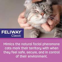 FELIWAY? Clic 30 Day Cat Calming Refill For Pheromone Diffuser, 48ml - Helps Reduce Common Signs Of Stress In Cats &Amp; Kittens, Enhanced Calming - 3 件裝 - 查看 5