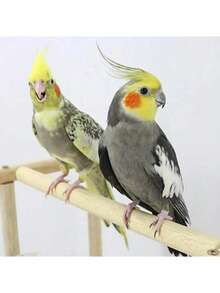 Parrot Climbing Frame, Medium/Small Bird Perch & Exercise Stand, Cage Accessory Playset, Claw Grinding Bird Rack