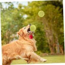 1 TPR Pet Bite Toy, Dog Toy, Cat Toy, Ball Rubber Toy, Interactive, Throwing Ball