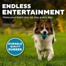 Outward Hound Squeaker Ballz, Interactive Dog Toy, Squeaky Tennis Ball, Durable Dog Toy For Fetch, Multi-Pack Of 4, Small - 顏色D - 查看 4
