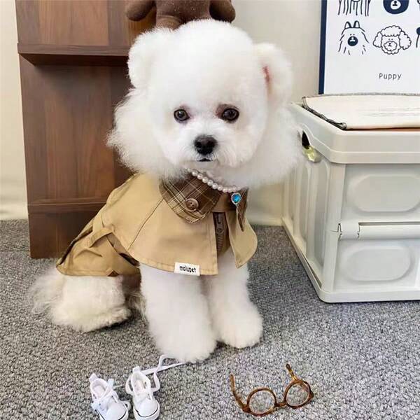 Vintage British Style Coat/Windbreaker For Small/Medium Dogs, Suitable For Poodle, Westie, Cats, Autumn/Winter