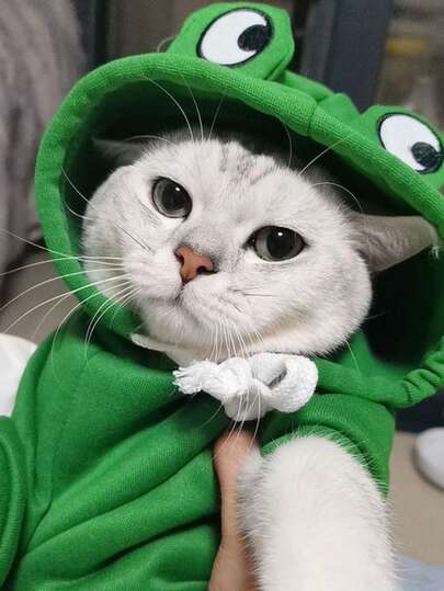 1pc The Little Frog Decorations On The Clothes For Cats And Dogs Are Both Cute And Fun. They Come With Velvet Winter Outfits Featuring A Silver Gradient, Blue Cats, British Shorthair Cats, And Male Cats, All In A Pet Autumn And Winter Style.