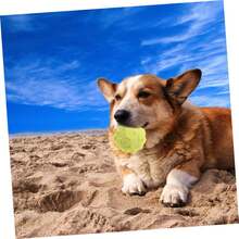 1 TPR Pet Bite Toy, Dog Toy, Cat Toy, Ball Rubber Toy, Interactive, Throwing Ball