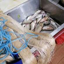 Fishing Net Cast Net For Fishing, Easy Cast Net, Handmade Nylon Cast Net With Heavy Iron Sinker, 8.2 Ft / 11.48 Ft / 13.12 Ft High, Accessory Kit, Full Set Of Tools