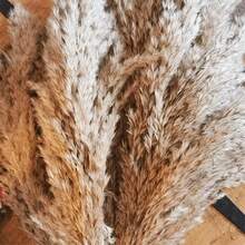 21 Inch 10/20pcs Luxury Pampas Grass Bohemian Style Natural Dried Flowers Home Table Decorations Floating Flowers Soft Feathers Desk Decor Rustic Farmhouse Decorationchristmas Decorations,Halloween Decorations