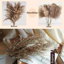 21 Inch 10/20pcs Luxury Pampas Grass Bohemian Style Natural Dried Flowers Home Table Decorations Floating Flowers Soft Feathers Desk Decor Rustic Farmhouse Decorationchristmas Decorations,Halloween Decorations
