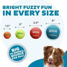 Outward Hound Squeaker Ballz, Interactive Dog Toy, Squeaky Tennis Ball, Durable Dog Toy For Fetch, Multi-Pack Of 4, Large - 顏色 - 查看 3
