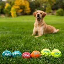 Outward Hound Squeaker Ballz, Interactive Dog Toy, Squeaky Tennis Ball, Durable Dog Toy For Fetch, Multi-Pack Of 6, Medium - MàuG - Xem 6