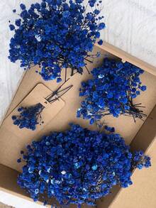 50/100/300pcs Natural Dried Baby's Breath Flowers - Elegant Preserved Baby's Breath, Suitable For Home, Office, Wedding, Christmas, Halloween Party, Handicrafts - , Maintenance-Free, Suitable For Ages 14+ (No Paper Card)