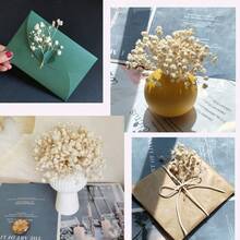 50 pezzi di fiori di Gypsophila (Fiori di Nuvola) bianchi avorio essiccati, adatti per artigianato, decorazioni per matrimoni, inviti in stile bohémien, realizzazione di candele in resina