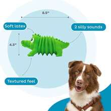 Outward Hound Accordionz Latex Rubber Squeaking Toy - Squeaky And Grunting Dog Toy, Alligator - MàuC - Xem 3