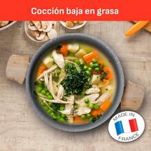 Multipan 26 con tapa Healthy Cook, con Antiadherente Mineralia para un perfecto deslizamiento, Hecho en Francia, con Termo-Señal, B7017782 - Parrilla - Ver 6