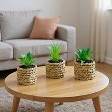 3/5 piezas de plantas suculentas artificiales en macetas de plástico - Suculentas falsas realistas para decoración del hogar, escritorio de oficina, estantería, baño - Vegetación interior de bajo mantenimiento, centro de mesa, decoración de boda y fiesta