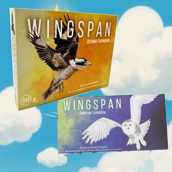 欧洲猫头鹰和蜂鸟主题的教育生物棋盘游戏，是成人、户外派对、家庭聚会、万圣节、圣诞节的理想礼物