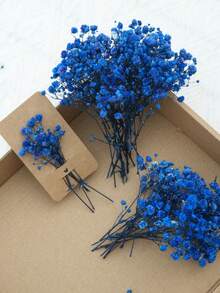 50/100/300pcs Natural Dried Baby's Breath Flowers - Elegant Preserved Baby's Breath, Suitable For Home, Office, Wedding, Christmas, Halloween Party, Handicrafts - , Maintenance-Free, Suitable For Ages 14+ (No Paper Card)