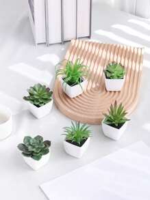 1/3 Stücke 3-5 Zoll (H) Mini Sukkulenten Topfpflanzen für Zuhause, Schlafzimmer, Wohnzimmer, Hochzeit, Geburtstag, Abschluss, Party und Tischdekoration