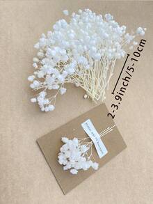 50/100/300pcs Natural Dried Baby's Breath Flowers - Elegant Preserved Baby's Breath, Suitable For Home, Office, Wedding, Christmas, Halloween Party, Handicrafts, Maintenance-Free, Suitable For Ages 14+ (No Paper Card)