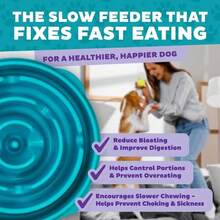 Outward Hound Fun Feeder Slo Bowl, Slow Feeder Dog Bowl, Large/Regular, Turquoise (Pack Of 6) - 顏色 - 查看 5