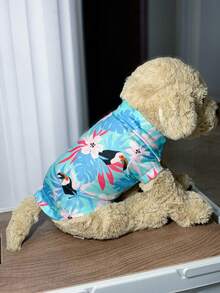 Magliette per cani di piccola e media taglia in primavera ed estate, simili agli orsi, ai Pomerania, ai cuccioli, abiti tipo POLO, vestiti anti-perdita di pelo per gatti, regali per feste, Natale, Ognissanti, compleanni. Vestiti per cani femmina, accessori per Ognissanti per cani, vestiti per cani, accessori per gatti, vestiti per gatti, vestiti per cani