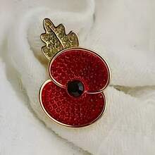Auf dass wir nicht vergessen Rote Emaille Blumen Mohn Brosche Rucksack für Schule Büro Accessoires Hemden Jacken Schmuck Weihnachten Halloween Kleidung Anstecker Lustig Süß Lehrer Geschenke