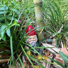 1 Peça, Estátuas de Gnomos de Jardim - Estilo. Estatuetas de Gnomos Segurando Armas, Adicionando uma Cenário Único ao Gramado. Artesanato de Gnomos Bonitos para Decoração Doméstica. Ornamentos de Escultura de Duendes de Chapéu Vermelho para Uso Externo e no Jardim. Itens Divertidos e Maravilhosos para Decoração de Pátio e Jardim, com Destaque para Gnomos em Posições Militares. Também Adequado para Decorar a Sala de Estar e o Hall de Entrada