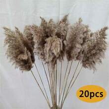 21 Inch 10/20pcs Luxury Pampas Grass Bohemian Style Natural Dried Flowers Home Table Decorations Floating Flowers Soft Feathers Desk Decor Rustic Farmhouse Decorationchristmas Decorations,Halloween Decorations
