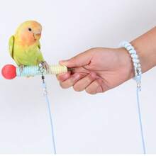 1pc Elastic Bird Leash, Parrot Flying Rope, Release Rope, Extension Leash With Wrist Strap, Lightweight & Non-Harmful, Pet Parrot Flying Combo Set (Excluding Leg Ring)