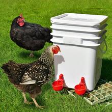 Chicken Drinker | Large Automatic Drinker For Chickens, Turkeys, Ducks, Geese, Rabbits, And Birds | Poultry Drinker, Leak-Proof