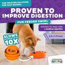 Outward Hound Fun Feeder Slo Bowl, Small Slow Feeder Dog Bowl, 3_4 Cups, Mini, Mint