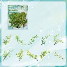 20 peças Adesivos de plantas e flores vintage, faça você mesmo, diário, material de animais de estimação, galhos, adesivos para scrapbooking, artesanato, decoração, álbum, colagem, adesivos