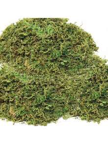 1 pacote de musgo artificial falso, simulação faça você mesmo de musgo, grama, micro layout paisagístico, planta verde, gramado, vaso de plantas, decoração de janela, paisagismo - Verde - Ver 23