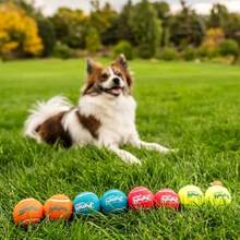 Outward Hound Squeaker Ballz, Interactive Dog Toy, Squeaky Tennis Ball, Durable Dog Toy For Fetch, Multi-Pack Of 8, Small - ColorE - 查看 5