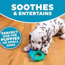 Outward Hound Cutie Chewies Hedgehog Dental Dog Chew Toy, Blue - MàuD - Xem 4