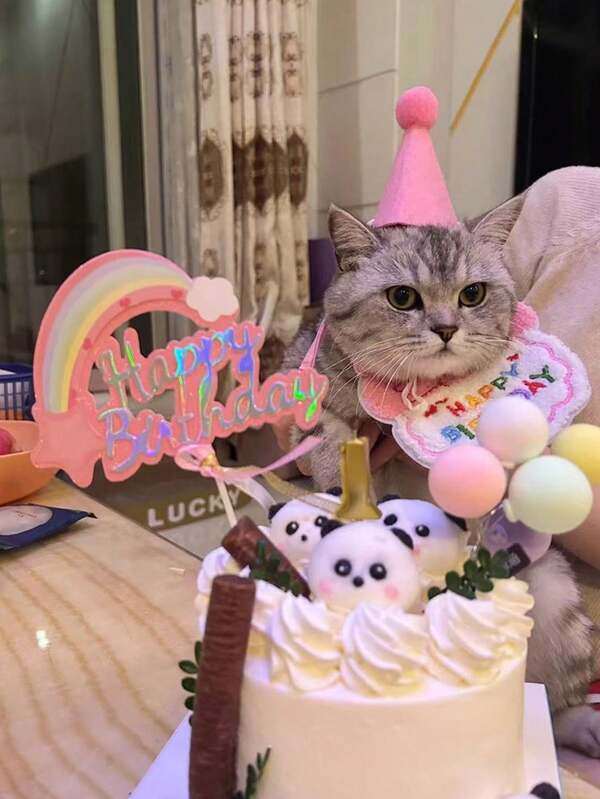 Pet Birthday Outfit Set - Cat Birthday Decor, Dog Birthday Bib, Pet Birthday Hat, Scarf, Drool Bib, Princess Party