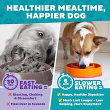 Outward Hound Fun Feeder Slo Bowl, Small Slow Feeder Dog Bowl, 3_4 Cups, Mini, Mint