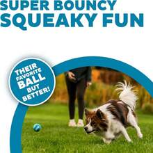 Outward Hound Squeaker Ballz, Interactive Dog Toy, Squeaky Tennis Ball, Durable Dog Toy For Fetch, Multi-Pack Of 4, Small