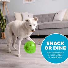 Outward Hound By Planet Dog Snoop Durable Interactive Treat Dispensing Dog Toy, Large, Blue - ColorB - 查看 6