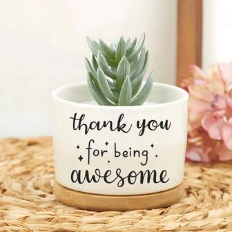 Jarrón exterior para empleado/compañero de trabajo, Gracias por ser increíble, Regalos para amantes de las plantas para mujeres - Macetas de cerámica, Macetas para suculentas, Regalo de decoración de plantas para Acción de Gracias y Navidad