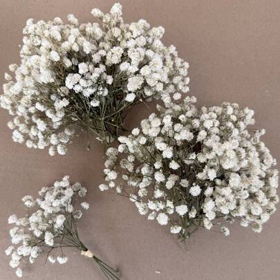 110pcs White Mini Dried Flowers Bouquet - Ideal For DIY Decor, Greeting Cards, Weddings, Home & Office Decoration