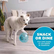Outward Hound By Planet Dog Snoop Durable Interactive Treat Dispensing Dog Toy, Large, Blue - ColorA - 查看 6