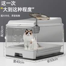 Cat Litter Box