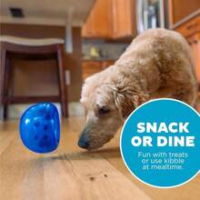 Outward Hound By Planet Dog Snoop Durable Interactive Treat Dispensing Dog Toy, Large, Blue - MàuF - Xem 5